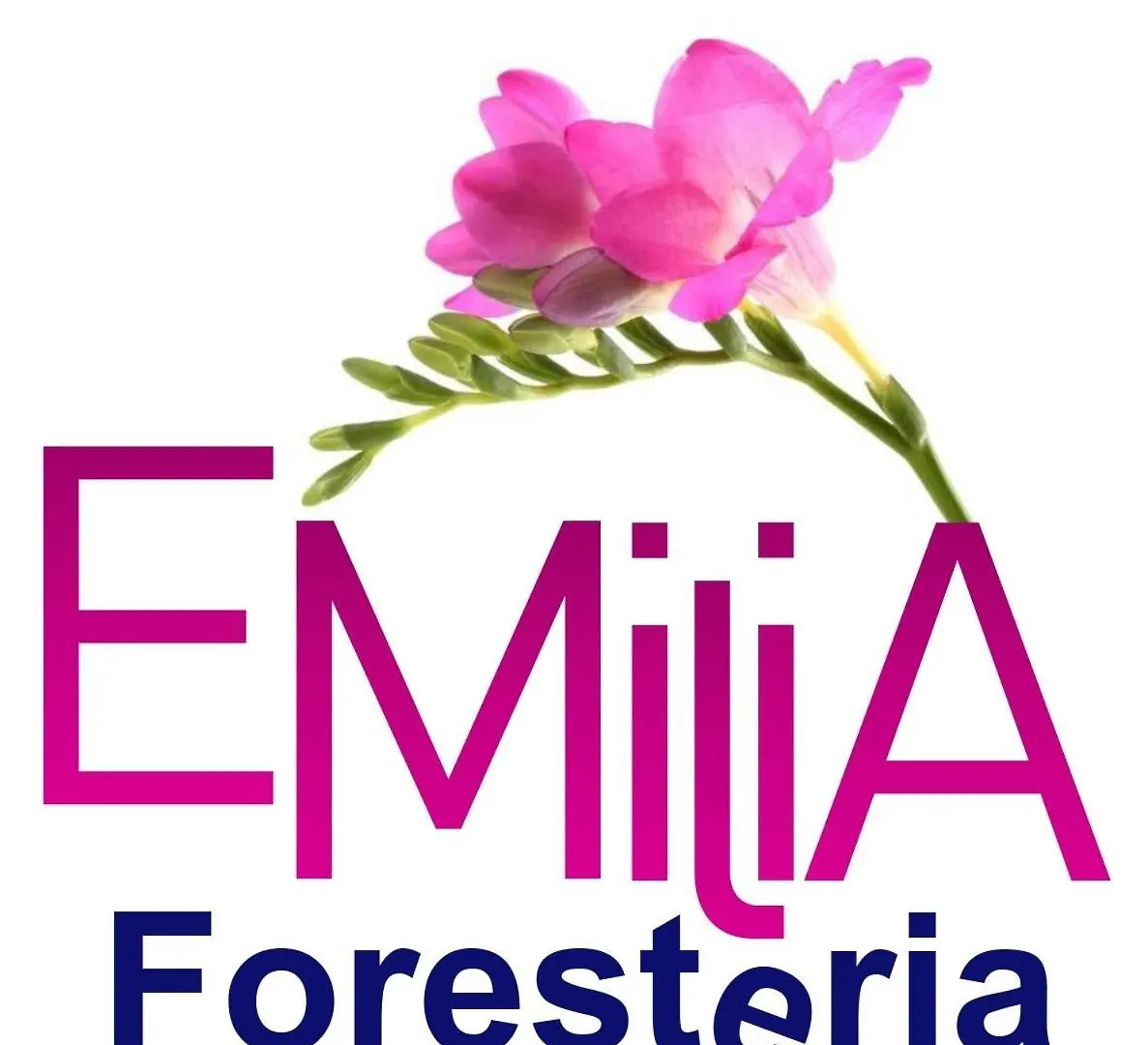 Foresteria Emilia Grosotto 0*,  Italien